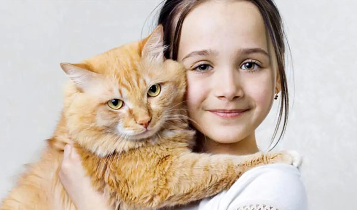 «گربه‌ها و آدم‌ها» در هاشور
