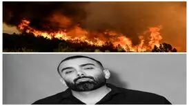مسعود صادقلو: جنگل‌های کشور می‌سوزد؛ خواهشمندم مسئولان کاری کنند