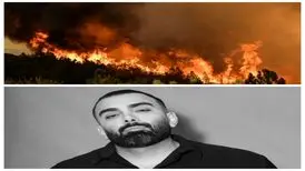 مسعود صادقلو: جنگل‌های کشور می‌سوزد؛ خواهشمندم مسئولان کاری کنند