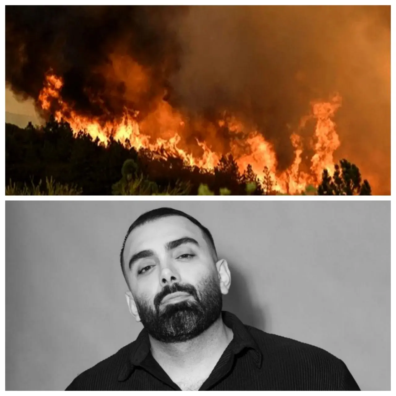 مسعود صادقلو: جنگل‌های کشور می‌سوزد؛ خواهشمندم مسئولان کاری کنند