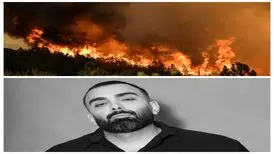 مسعود صادقلو: جنگل‌های کشور می‌سوزد؛ خواهشمندم مسئولان کاری کنند