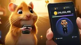 کمبو کارت های امروز همستر کامبت ۱۸ تیر برای دریافت ۵ میلیون سکه