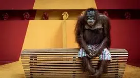 برندگان مسابقه عکاسی حیات‌وحش ۲۰۲۴ مشخص شدند؛ ازدحام وزغ‌ها
