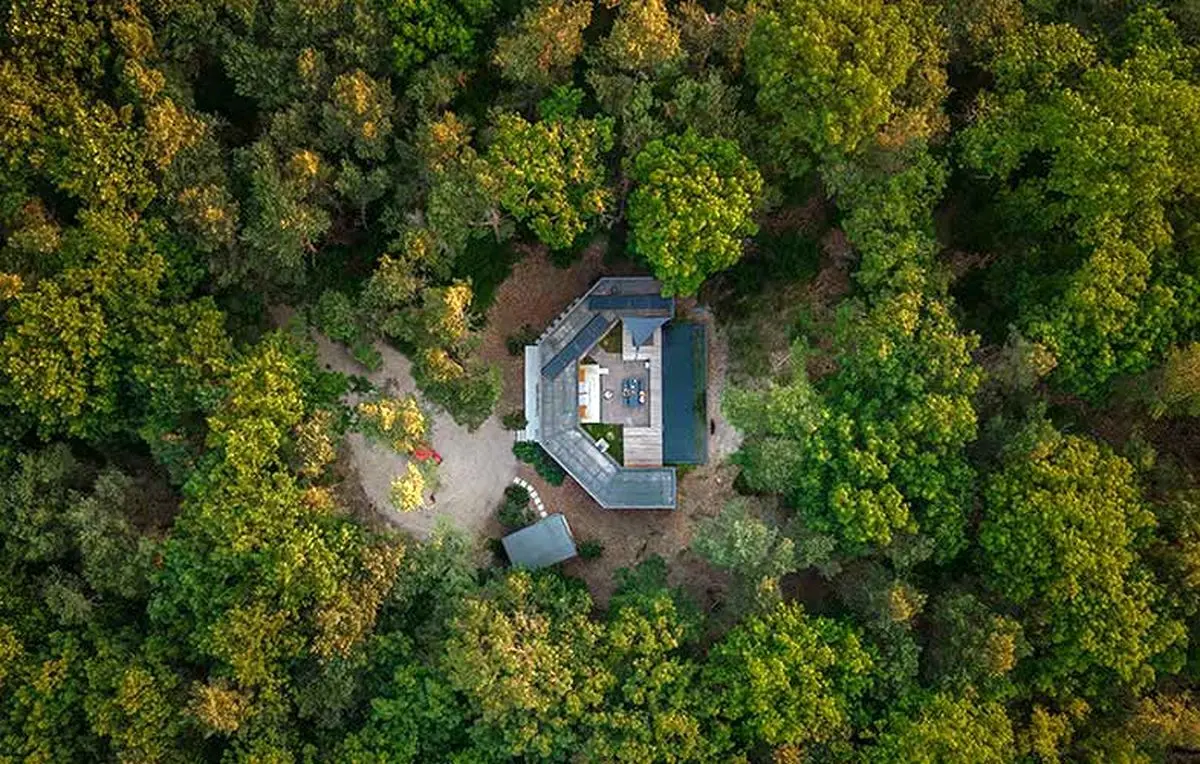 خانه C، آرامش و یک استخر نقلی در دل جنگل
