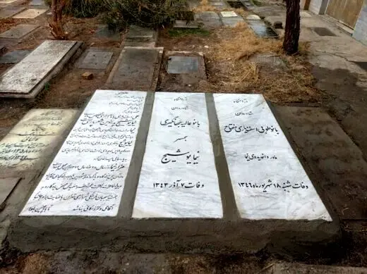 جنجال تعویض سنگ مزار نیما
