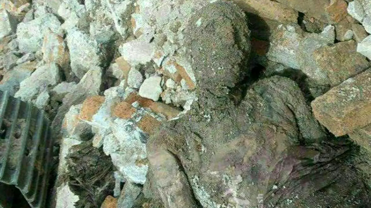 سرنوشت مومیایی رضا شاه چه شد؟
