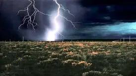 برترین آثار هنری که ۲۰۲۵ به نمایش درآمدند
