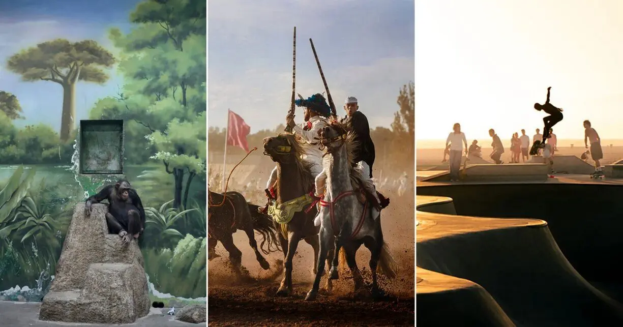 درخشش نگاه ایرانی در یک رقابت جهانی 
