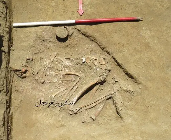 کشف ۴ گور تاریخی در کف خانه‌های روستایی