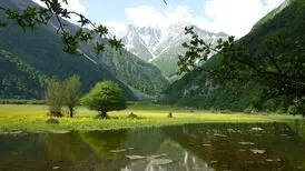جاذبه های گردشگری جنگل دوهزار تنکابن
