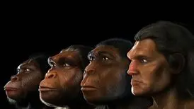 سرعت دو برابری تکامل مردان نسبت به زنان؛ آیا مردان جذاب‌تر و ترسناک‌تر می‌شوند؟