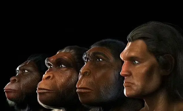 سرعت دو برابری تکامل مردان نسبت به زنان؛ آیا مردان جذاب‌تر و ترسناک‌تر می‌شوند؟