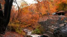 پاییز زیبای درکه/عکس