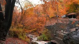 پاییز زیبای درکه/عکس