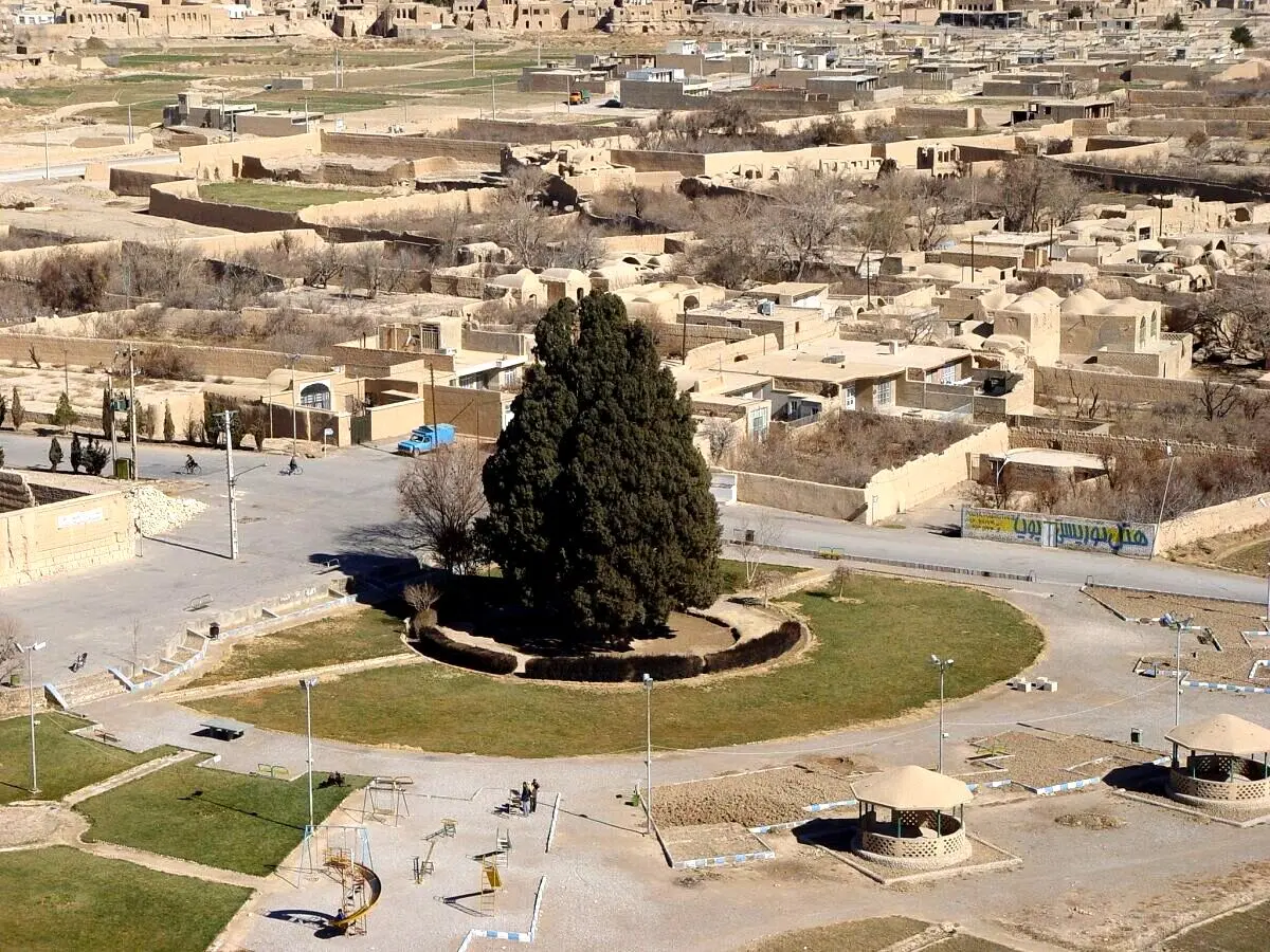 سرو ۴۵۰۰ ساله ابرکوه، آسمان‌خراش استان یزد
