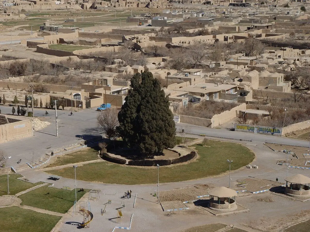 سرو ۴۵۰۰ ساله ابرکوه، آسمان‌خراش استان یزد
