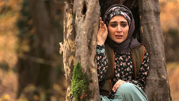 پیـروزی «گلنار» هم دردناک بود/ «عشق» چرا و اما و اگر ندارد
