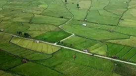 روایت سرگذشت تلخ دریاچه الندان و نابودی پرندگان مهاجر به دلیل آفرودسوارها! 