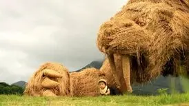 باغ‌وحش هیولاهای «حصیری» در ژاپن
