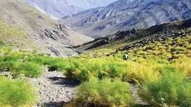 تلخاب؛ چشمه عجیبی نزدیک تهران که با آب گازدارش دوغ درست می‌کنند/ تصاویر
