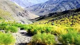 تلخاب؛ چشمه عجیبی نزدیک تهران که با آب گازدارش دوغ درست می‌کنند/ تصاویر

