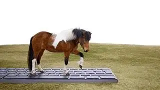 وقتی اسب‌ها جواب ایمیل‌های رئیس و اداره را می‌دهند