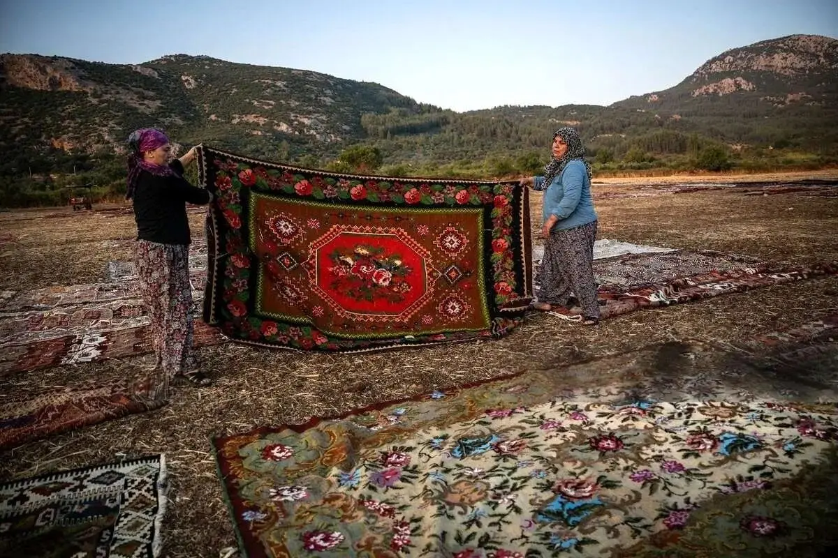 وقتی فرش‌ها آفتاب می‌گیرند
