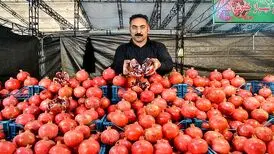 برگزاری جشنواره و نمایشگاه انار در تهران
