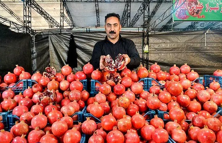 برگزاری جشنواره و نمایشگاه انار در تهران
