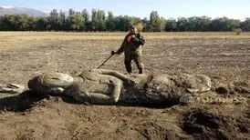 کشف اتفاقی مجسمه تاریخی در مزرعه سیب‌زمینی
