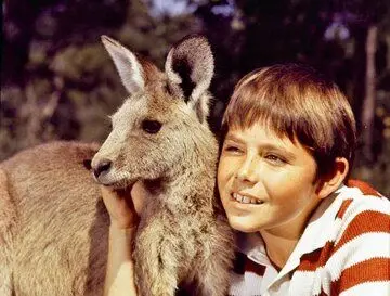 یک روایت تازه/ نُچ‌نچ‌های «اسکیپی» را خاطرتان هست؟
