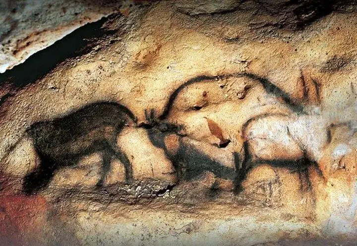 ثبت سند سکونت انسان های هوشمند در ۶۵ هزار سال پیش
