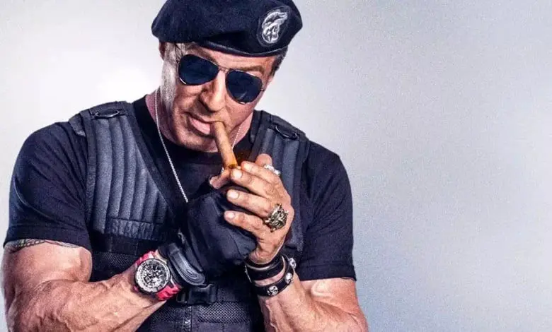 بدترین بازیگران ۲۰۲۴ معرفی شدند/ تمشک طلایی به استالونه رسید
