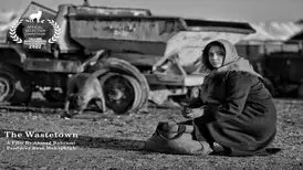 یک نابسامانی در جشنواره فیلم فجر
