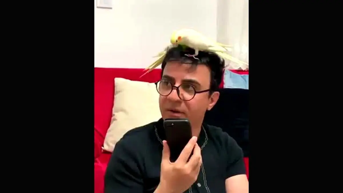 ماجرای عموپورنگ و دو عروس هلندی/ ویدئو
