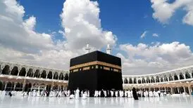قیمت فیش عمره نصف شد
