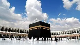 قیمت فیش عمره نصف شد
