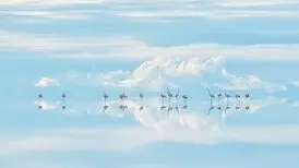 تصاویر حیرت‌انگیزی از حیات‌وحش
