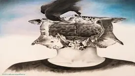 نمایشگاه «پیروان پوسیدگی» برگزار می شود