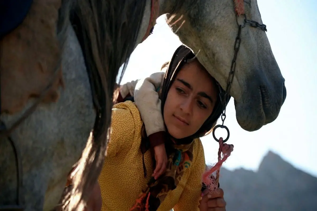 «رویای یک اسب» در جشنواره بیگ اسکای
