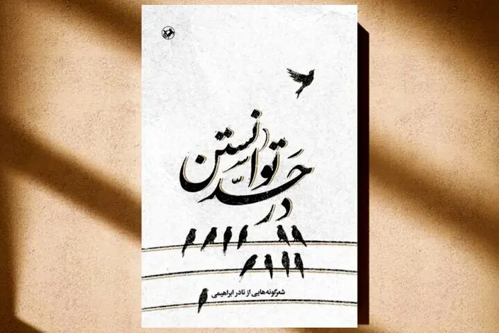 بعد از ۴۶ سال شعرگونه‌های نادر ابراهیمی منتشر شد
