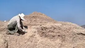 فرضیه‌ها درباره یک آتشکده ساسانی تایید شد
