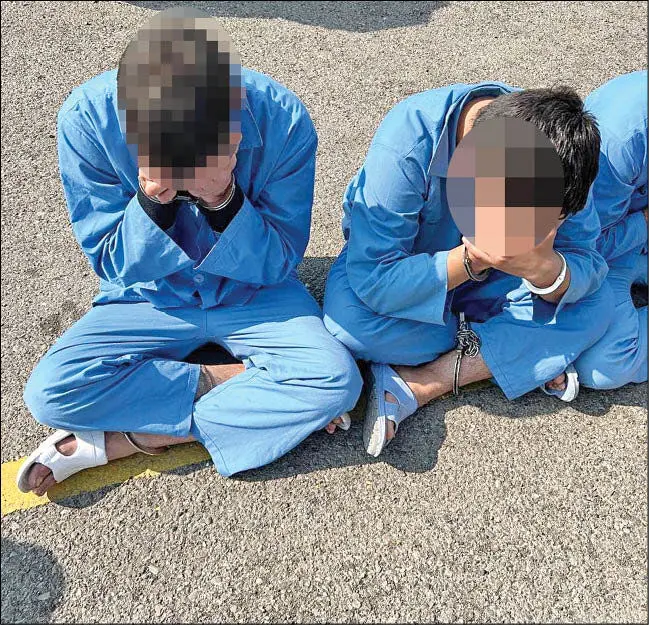 ۲۰ ضربه چاقو کارگردان معروف را تا پای مرگ برد!