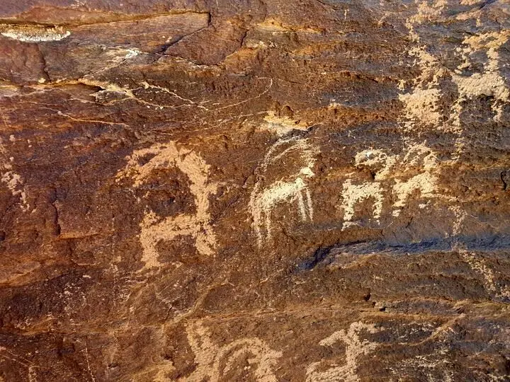 ۳۰۰ هزار بوم سنگی در گالری طبیعت/‌حفاری‬ غیرمجاز برای کشف هیچ!
