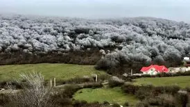 بهشت ایران یا جنگل ویلا؟
