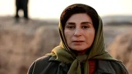 سرنوشت نامعلوم فیلم معتمدآریا در جشنواره فجر | کارگردان: چرا باید از جشنواره عقب‌نشینی کنیم؟
