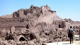 این تصویر از زلزله بم جهانی شد
